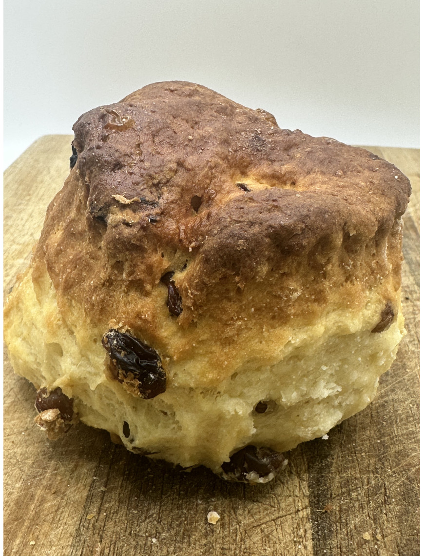 Gluten Free Fruit Scone
