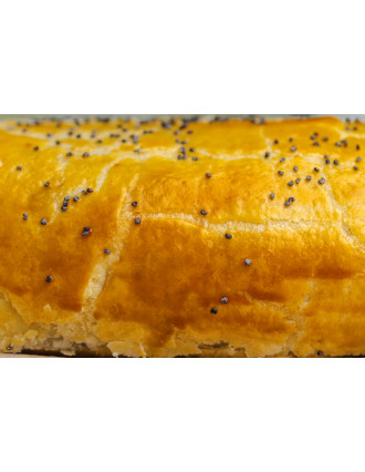 Panini